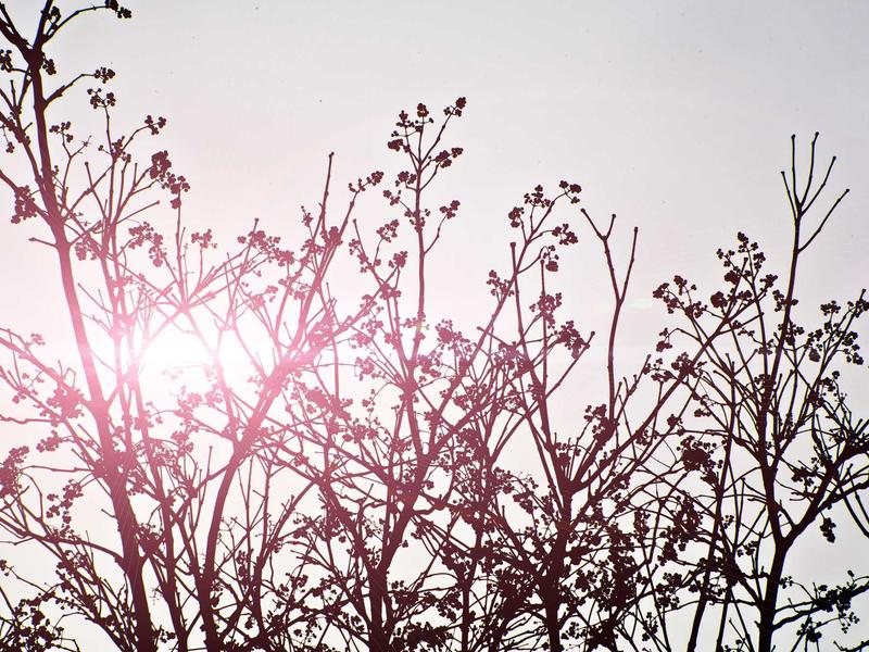 sudoku relaxation mode