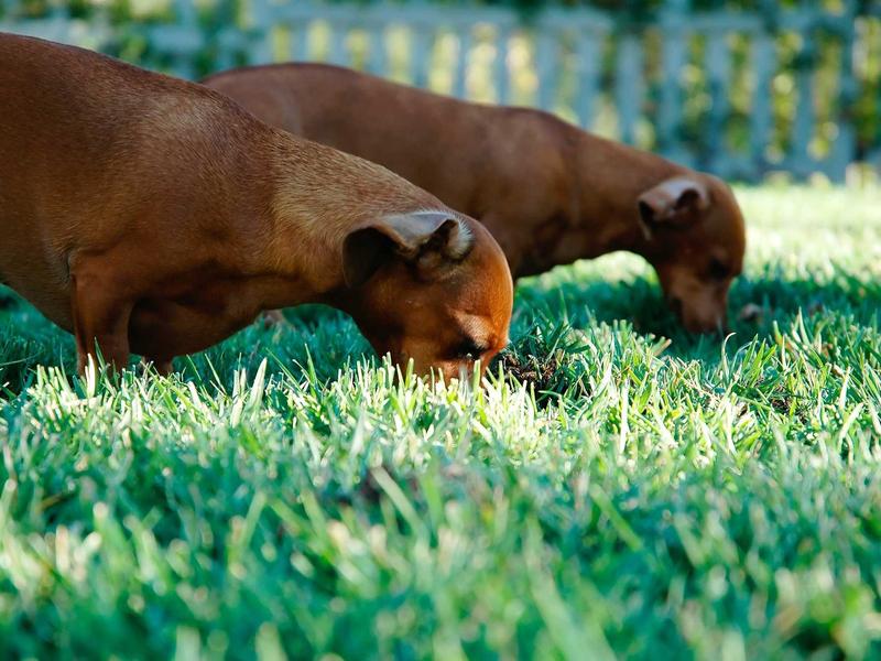 sudoku pattern learning screenshot 2