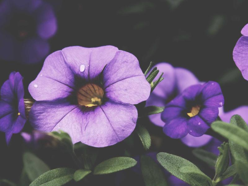 accessibility screenshot 4