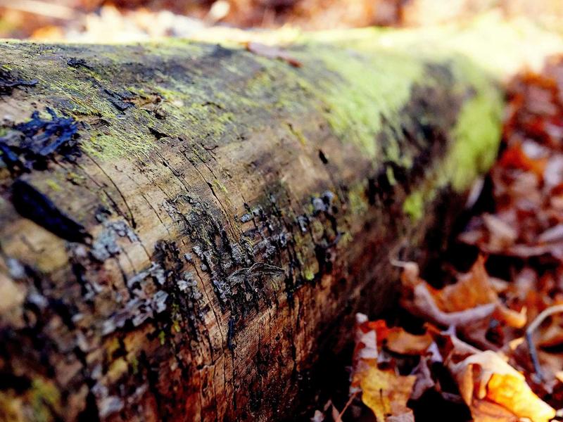 sudoku relaxation mode screenshot 1